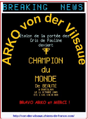 des Gris de Pauline   - Arko CHAMPION du MONDE 09