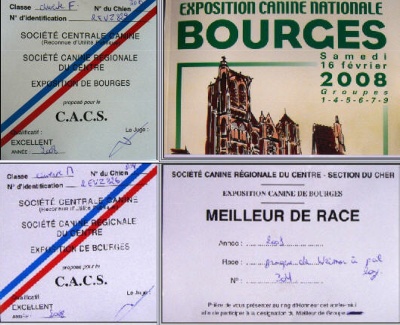 des Gris de Pauline   - Vainqueurs de la Spéciale de Bourges : Bounty et Bouskhô-Brennus