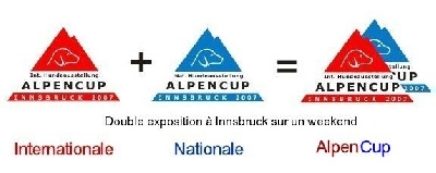 des Gris de Pauline   - AlpenCup Trophy, Innsbruck en Autriche : Boupsy, Vicky et Arko